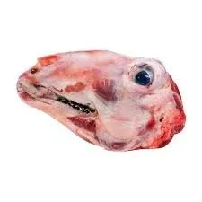 Tête d’agneau