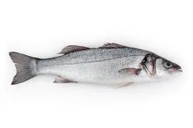 Poissons et fruits de mer