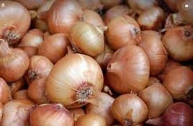 Légumes
