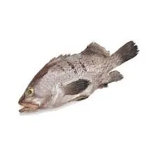 Poissons